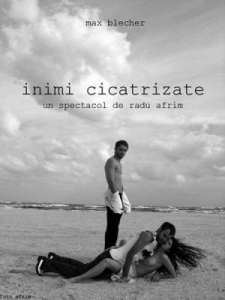inimi_cicatrizate